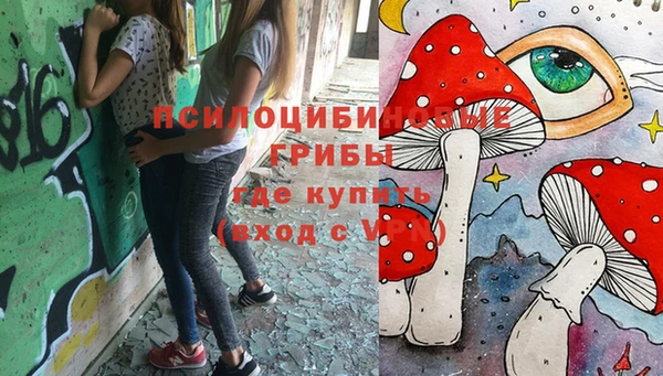МДПВ Кинешма